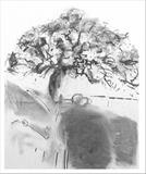 Oak (2004) by Jeremy Scrine, Painting, Charcoal on Paper