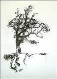 Oak 3 by Jeremy Scrine, Drawing, Charcoal on Paper