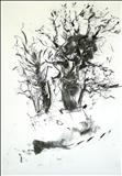 Oak 4 by Jeremy Scrine, Drawing, Charcoal on Paper