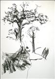 Oak 5 by Jeremy Scrine, Drawing, Charcoal on Paper