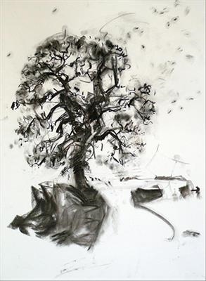 Oak 1