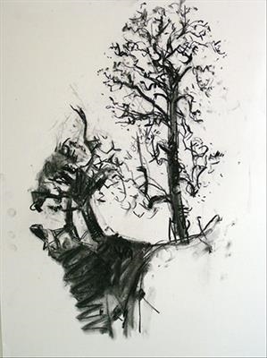 Tall  Ash